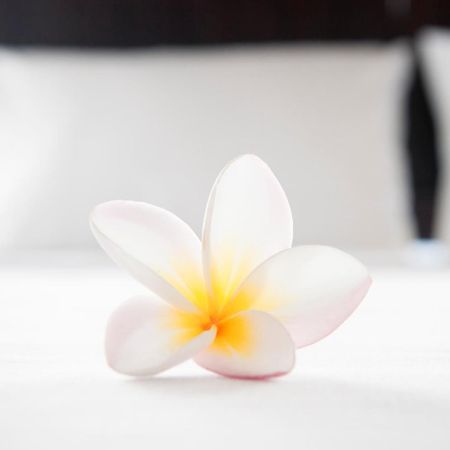 ホテルCielo Del Mar ニコヤ エクステリア 写真